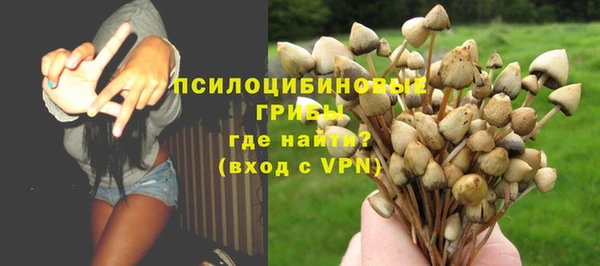дурь Аркадак