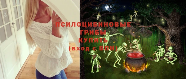 бошки Алзамай
