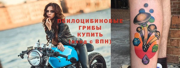 а пвп мука Арсеньев